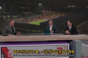 表现亮眼！评论员赛后当面说拉亚是英超目前最好的门将！